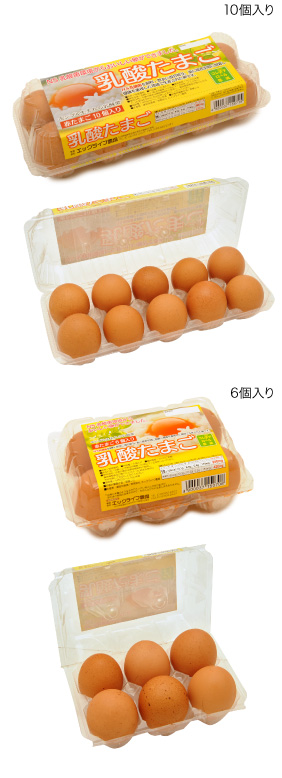 乳酸卵