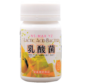 紫府 NS乳酸菌