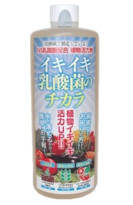 イキイキ乳酸菌のチカラ | 未来生命科学研究院ホームページ