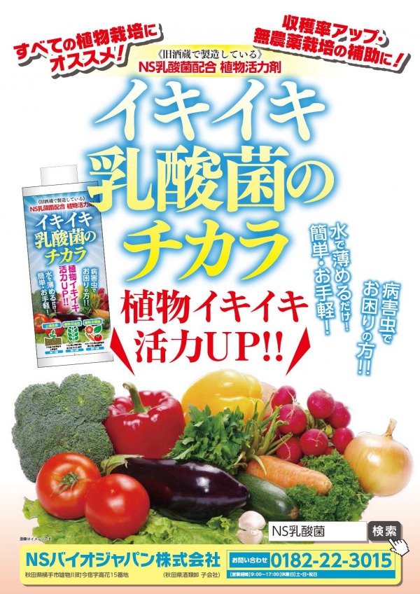 イキイキ乳酸菌のチカラ チラシ
